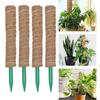 Pilar de Musgo para Plantas Suporte para Plantas Envasadas Internas Pilar de Casca de Coco Estaca para Crescimento de Plantas Trepadeiras Pothos Estilo Removível