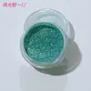 Accesorios para Uñas al por Mayor Lentejuelas Polvo Brillante Trozos de Concha Polvo de Terciopelo Polvo Perlado Concha Irregular Peluche Colección Perlada
