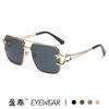 2025 Nuevas Gafas de Sol Retro Europeas y Americanas de Doble Puente con Caja Moda para Hombre Gafas de Sol con Cabeza de Leopardo Trendy para Mujer Venta al por Mayor Transfronteriza