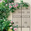 Suporte de Flores Estrutura de Trepadeira Ferro Forjado Suporte para Clematis Rosa Grade de Trepadeira Buganvília Atacado Transfronteiriço