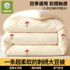 Colcha bordada de fibra de soja para inverno, colcha de inverno para dormitórios estudantis, colcha de primavera e outono, colcha de algodão, colcha para todas as estações e colcha de ar condicionado