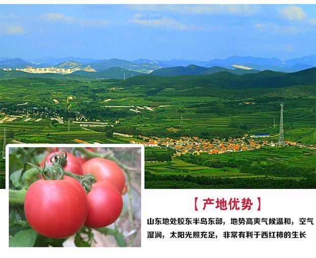 872785bd-5b45-4a01-97de-df2f74c7c691.jpe