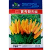 Semillas de Chile Chaotian Huangxiu Se Pueden Cultivar en Macetas en Tierras de Cultivo y Huertos con Plántulas Altas y Agrupadas Hacia Arriba Semillas de Chile Chaotian Amarillo