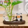 Decoração de Casa Estilo Chinês Panda Rabanete Verde Vaso Hidropônico Arranjo de Flores Vidraria Decoração de Mesa Vaso de Planta Presente