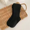 Nuevas Medias de Algodón Canalé Lisas Transfronterizas de Primavera y Otoño en Colores Caramelo para Niñas, Leggings de Color Sólido para Uso en Exteriores