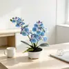 Nuevo macetero de arena negra con doble horquilla, bonsái de orquídea Phalaenopsis de 11 flores, accesorio de fotografía para plantas verdes, maceta decorativa para el hogar para la sala de estar