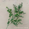 Plantas Verdes Artificiais para Casamento, Grama Aspargo Verde Estilo Floresta, Flores Artificiais Verdes, Materiais Florais Artificiais para Casamento, Série de Decoração para Salão de Casamento