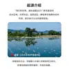 Pérolas Naturais de Água Doce com Furos Contas Soltas Pulseira Colar Produtos Semi-acabados Zhuji Zhejiang Miçangas de Pérola Acessórios DIY