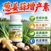 Cebolla Jengibre Ajo Factor de Aumento de Rendimiento Fertilizante Siembra de Verduras Hojas Gruesas Fertilizante Orgánico Hinchazón de Fruta Gránulos para Aumento de Rendimiento Fertilizante de Liberación Lenta