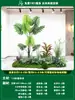 Paisagismo de Planta Artificial Varanda Arranjo de Paisagem Escada Interna Sob Árvore de Flores Artificiais Decoração Biomórfica Planta Verde Paisagismo Combinação