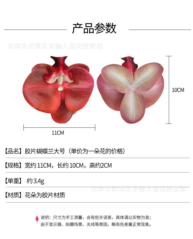 详情_01.jpg