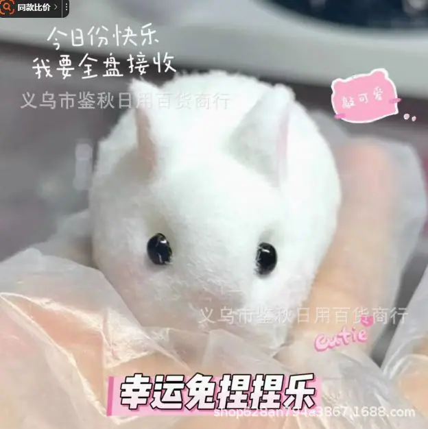微信图片_20250215153622