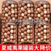 Nozes Macadâmia Cremosas 500g Lanches de Nozes Nozes Torradas Frutas Secas Grãos Embalagem a Granel Caixa Completa Produtos de Ano Novo Inclui Pote de 1g
