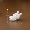 Mini Paisagem Pequenos Enfeites Animal Cartoon Fofo Palácio Celestial Coelho Fofo Jardinagem Musgo Mini Resina Decorações Acessórios