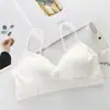Sudeste Asiático Transfronterizo Chaleco Tirante Venta al por Mayor Ropa Interior Sin Costuras Ropa Interior para Mujer Correa para el Pecho Almohadilla para el Pecho Ropa Exterior Top Corto de Tubo
