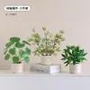 Plantas Verdes, Vasos Pequenos, Árvore da Fortuna Semelhante para Mesas de Escritório Internas, Mesas de Centro de Sala de Estar, Flores Artificiais e Arranjos Florais