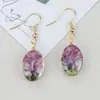 Pendientes de Hilo de Oro con Hilo de Vida, Árbol Pequeño, Flores Reales, Flores Secas, Flores de Encaje, Gypsophila, de Venta Caliente Transfronteriza Europea y Americana