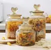 Potes de Vidro Selados para Armazenamento na Cozinha para Guardar Lanches e Chá, Pote Múltiplo Selado em Grade Cor Âmbar à Prova de Umidade e Conservador de Frescor