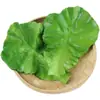 Hojas de Lechuga de Simulación Verdura Falsa Modelo de Frutas y Verduras Decoración Accesorios Adornos de Lechuga Hojas Grandes de Frutas y Verduras