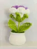 Venta al por mayor de fábrica transfronteriza adornos de flores artificiales en maceta de rosa de lana tejida a mano venta caliente
