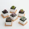 Jikai Simple Blanco Creativo Maceta de Flor Carnosa Comercio Exterior Transfronterizo Cuadrado Escritorio zakka Soporte para Macetas de Bambú