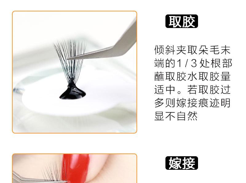 山茶花朵毛-(2)_06