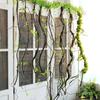 Vid de Árbol Musgo Vid Muerta Tira Ramas de Árbol Decorativas Vid de Interior Flor Falsa Vid Colgante de Pared Ventana Paisaje de Tela Creativo