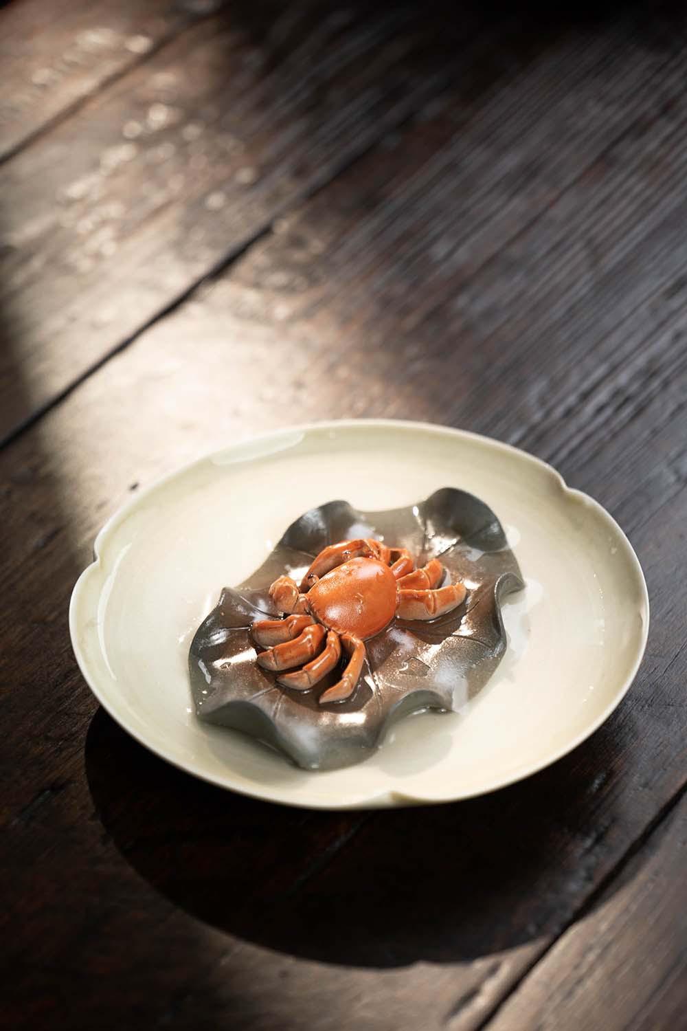 变色螃蟹20230516 (7).jpg