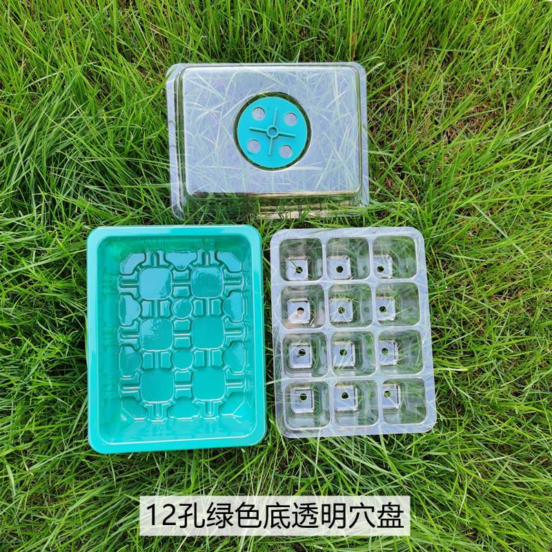 透气-12孔绿底透明穴盘