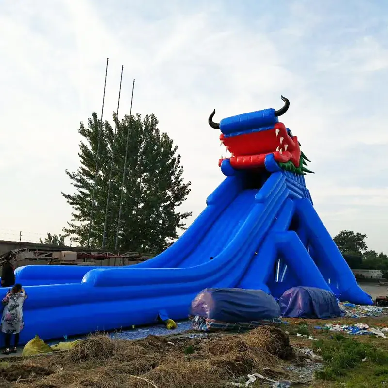 龙对滑梯