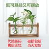 Arreglo Floral Hidropónico de Escritorio con Marco de Madera Transfronterizo, Plantas Verdes Cultivadas en Agua, Jarrón, Contenedor de Vidrio para Colgar en la Pared, Pieza Decorativa