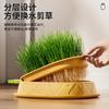 Nueva Caja de Hierba para Gatos Hidropónica para Interior Plantación Hidropónica Sin Suelo Maceta de Hierba para Gatos Set Caja de Hierba para Gatos Artefacto para Eliminar Pelos de Gato