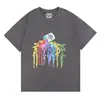 Muitas Marcas Europeias e Americanas da Moda Têm o Mesmo Estilo que Celebridades, com Camisetas de Letras da Nova Temporada, Modelos Básicos para Homens e Mulheres, e Camisetas Básicas