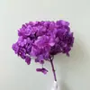 Flor Eterna Hortênsia de Folha Grande Fábrica de Yunnan Atacado Casamento Transfronteiriço Casa Decoração Suave Enfeites Materiais de Flor