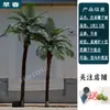 Coqueiro Falso Coqueiro Grande Tropical Outdoor Árvore Artificial para Paisagismo Planta Verde Arranjo de Paisagismo Palmeira Falsa Interna