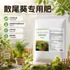Fertilizante especial para Palmeira-areca promove a germinação de novos brotos, galhos e tronco fortes, sistema radicular desenvolvido, aumenta a resistência ao estresse da planta, crescimento vigoroso