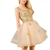 Vestido Corto Strapless de Estilo Europeo y Americano para Baile de Graduación con Aplique de Encaje Corazón, Vestido de Noche de Malla sin Mangas