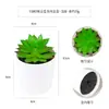 Más de 100 Tipos de Combinaciones de Plantas Suculentas Mini de Plástico Simuladas en Maceta, Mini Bonsáis Suculentos Más Vendidos Transfronterizos, Decoración para el Hogar, Adornos Creativos