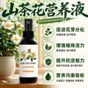 Fungicida especial para Mancha Negra de Camelia y Antracnosis de Peonía, fertilizante especial y solución nutritiva para amarillamiento, marchitez y caída de hojas