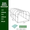 Isolamento de Estufa Suporte para Flores e Vegetais Suporte à Prova de Insetos Estufa à Prova de Vento e Chuva Suporte para Suculentas Floricultura Varanda Proteção contra Geada