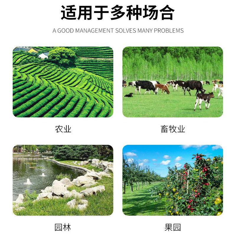 场景