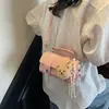 Bolsas Femininas Populares Novas Transfronteiriças Bolsas de Mão de Nicho Moda Verão Feminina Bolsas Transversais Bolsas Estilo Coreano Bolsas Portáteis Tipo Almofada