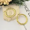 Brincos Grandes de Argola Simples e Estilosos para Mulheres, Brincos Populares Tendência de Nicho de Alto Padrão, Acessórios de Orelha Atacado de Fabricante