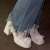 Zapatos de Tacón Medio y Grueso para Damas de Honor Femeninas Zapatos de Tacón Grueso para Mujer 2025 con Falda Zapatos de Boda Zapatos Mary Jane Bajos para Mujer