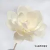 Acessórios DIY com Flores Secas de Rattan Difusor de Aroma Sem Chama Difusor de Fragrância de Óleo Essencial Varetas de Rattan Frasco de Fragrância de Rattan