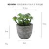 Flocado Verde tamaño pequeño Inmortaceae Simulación Planta Falsa Suculenta en Maceta Planta Verde Bonsái Decoración de Escritorio Regalo Planta de Simulación