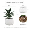 Más de 100 Macetas Cerámicas Populares de Amazon con Combinaciones de Plantas Suculentas Artificiales, Bonsái de Suculentas Falsas de Estilo Fresco Creativo