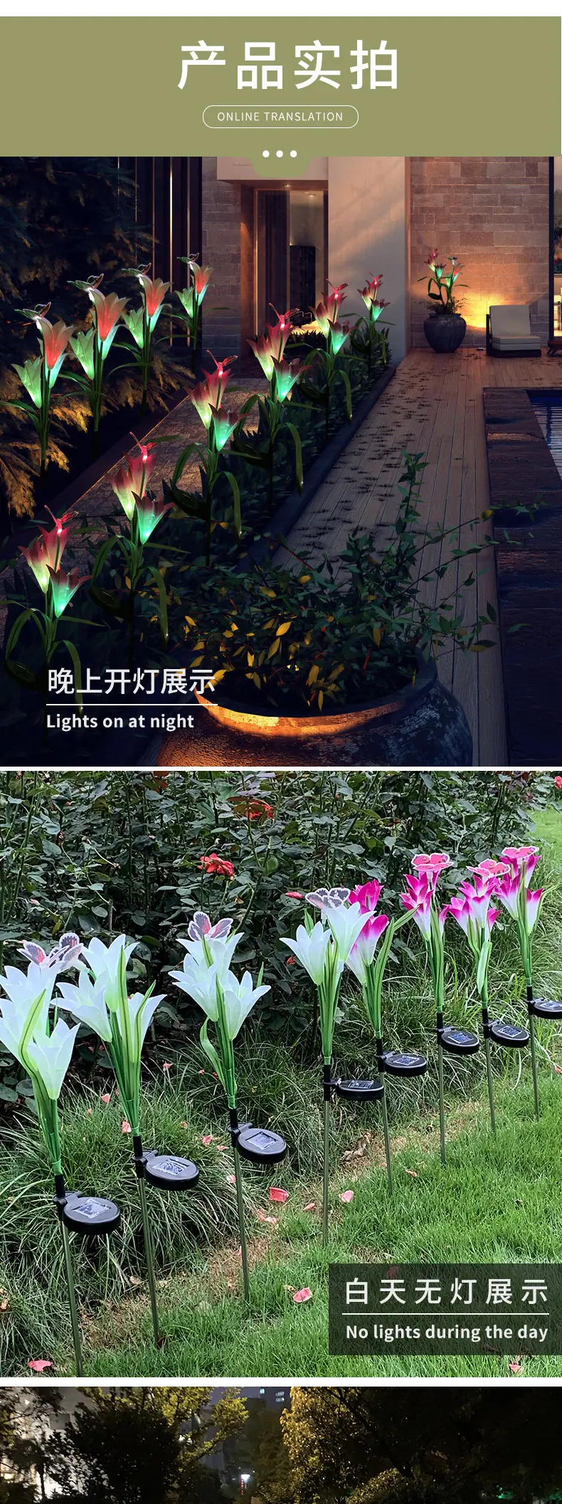 蝴蝶百合花灯(孙良)_07