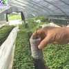 Máquina para Moldear Bloques Nutritivos No Tejidos Máquina para Macetas con Malla Horizontal Equipo Totalmente Automático para Moldear Bloques de Turba
