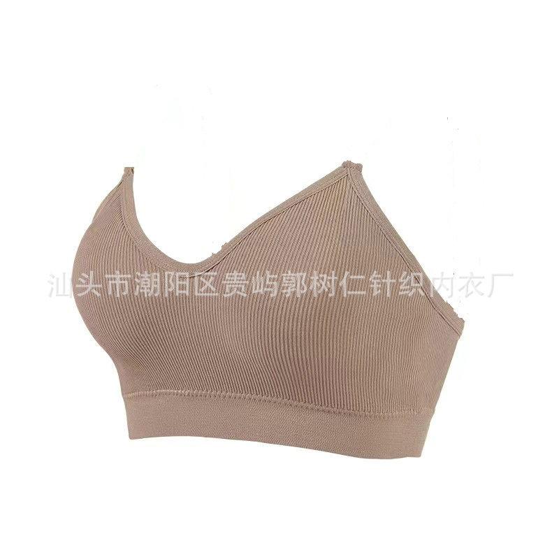 微信图片_20230429171511_副本